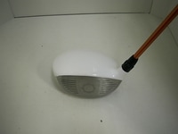 DSCI0011.JPG
