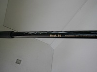 DSCI0004-1.JPG