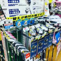 すっかり秋ですね