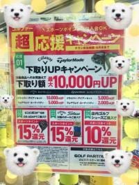 IMG_1647.JPGのサムネイル画像