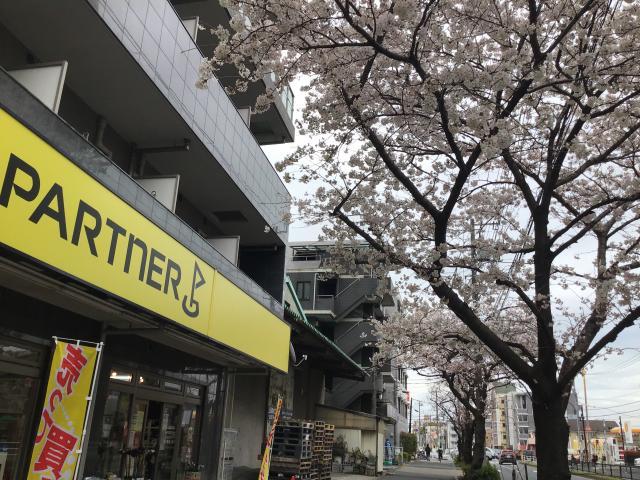 買取り強化中‼️