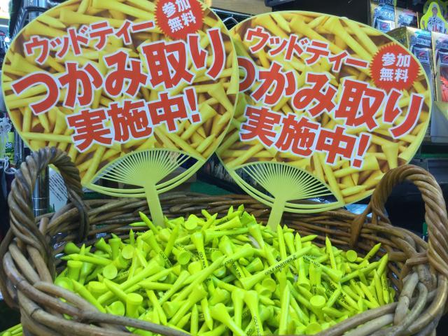 ウッドティー 1000万本 掴み取り実施中！
