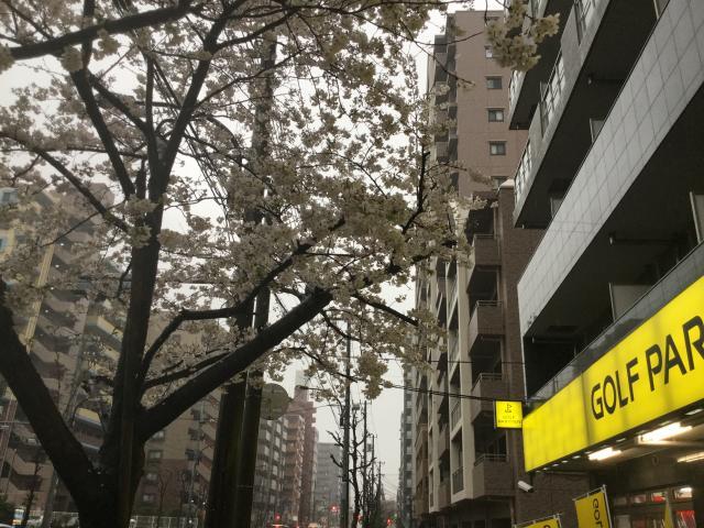 4月に突入しました！