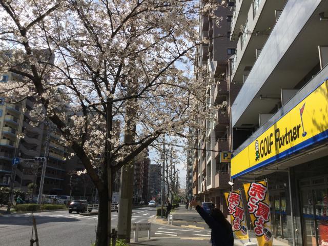 本日決算‼︎最終日ヾ(*´▽｀*)ﾉ