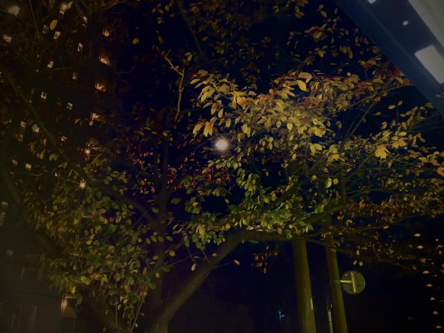 入荷しました！