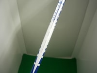 DSCI1459.JPG