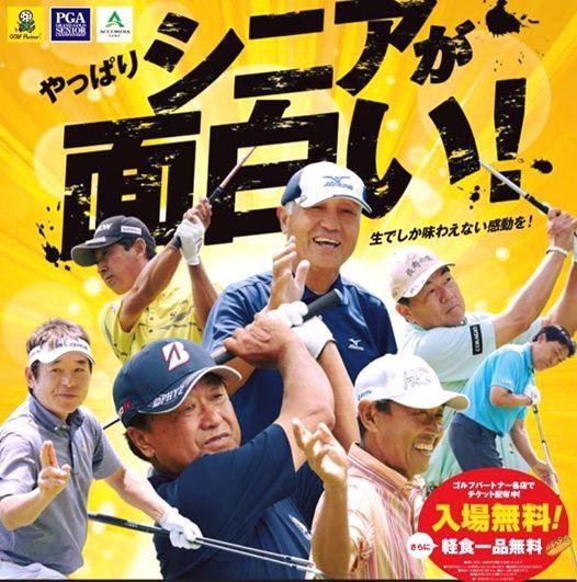 やっぱりシニアが面白い‼︎!!