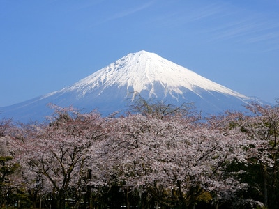 fuji126.jpg