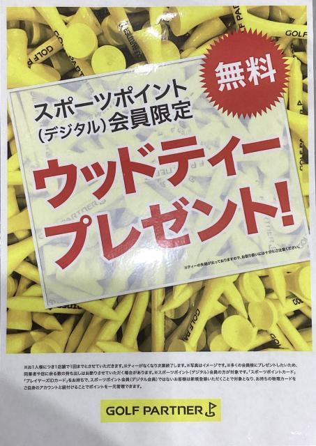 ウッドティープレゼントキャンペーン