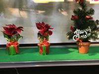 もうすぐクリスマス！！