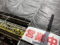 6月半ばの予定です