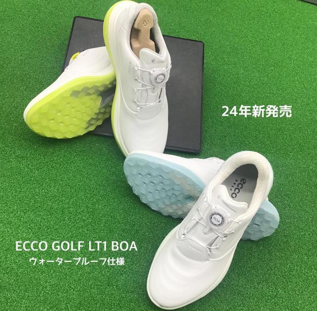 ECCO('ω')ノNEWシューズ☆