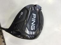 pinn425.JPG