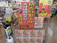 新春.JPG