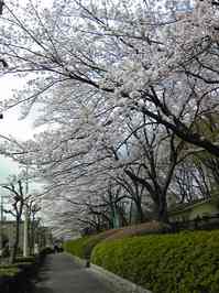 110410_1020281.jpg