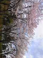 110410_10224111.jpg