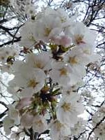 110410_1024071.jpg