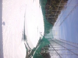 SH3D0278.jpg