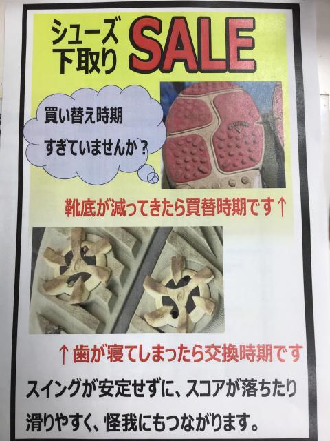 4B6BE83F-6A9F-4794-A15F-F4644534B625.jpeg