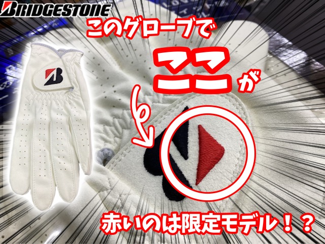 TOUR GLOVE(ｶﾗｰﾏｰｸﾓﾃﾞﾙ)