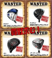 WANTED3.jpg