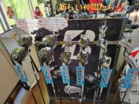 ＢＳ展開