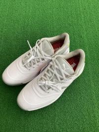 IMG_0165.jpeg