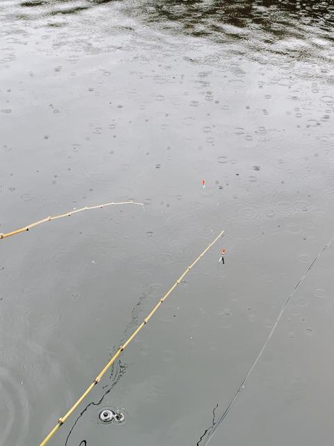 雨の中...