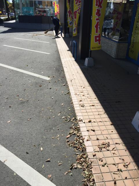 最近の天敵は・・・(・_・;)