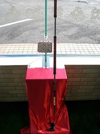 4856502.jpg