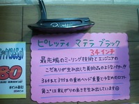 DSCI0047.JPG