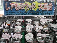 64545.JPG