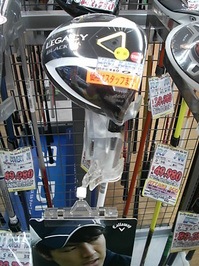D5454555.JPG