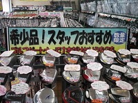 D55545453.JPG