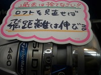 D5454124542.JPG