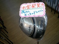 honma04.JPG