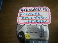 D545454569.JPG