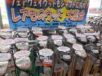 DSCN6486[1].JPG