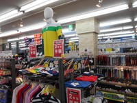 DSCN5585.JPG