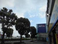 mnb01000001.JPG