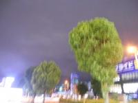 mnb10000009.JPG