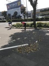 20190408204523.jpg