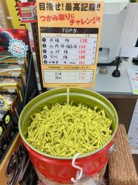 ティーの途中結果報告！！