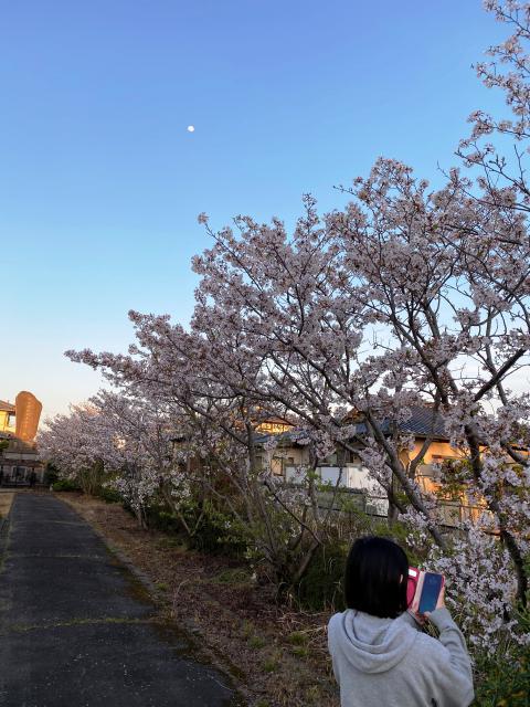 たまたま花見!?(・_・;)
