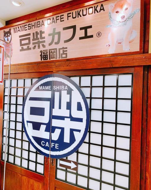 初めての・・・