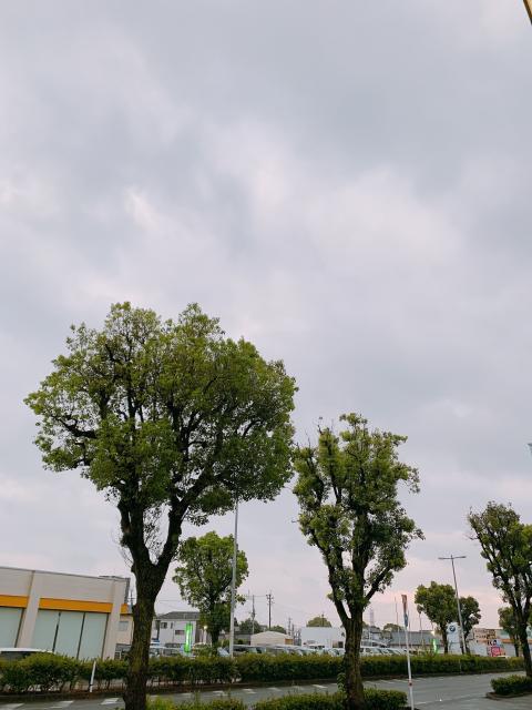 台風...