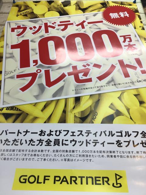 ウッドティーのプレゼント中です☆