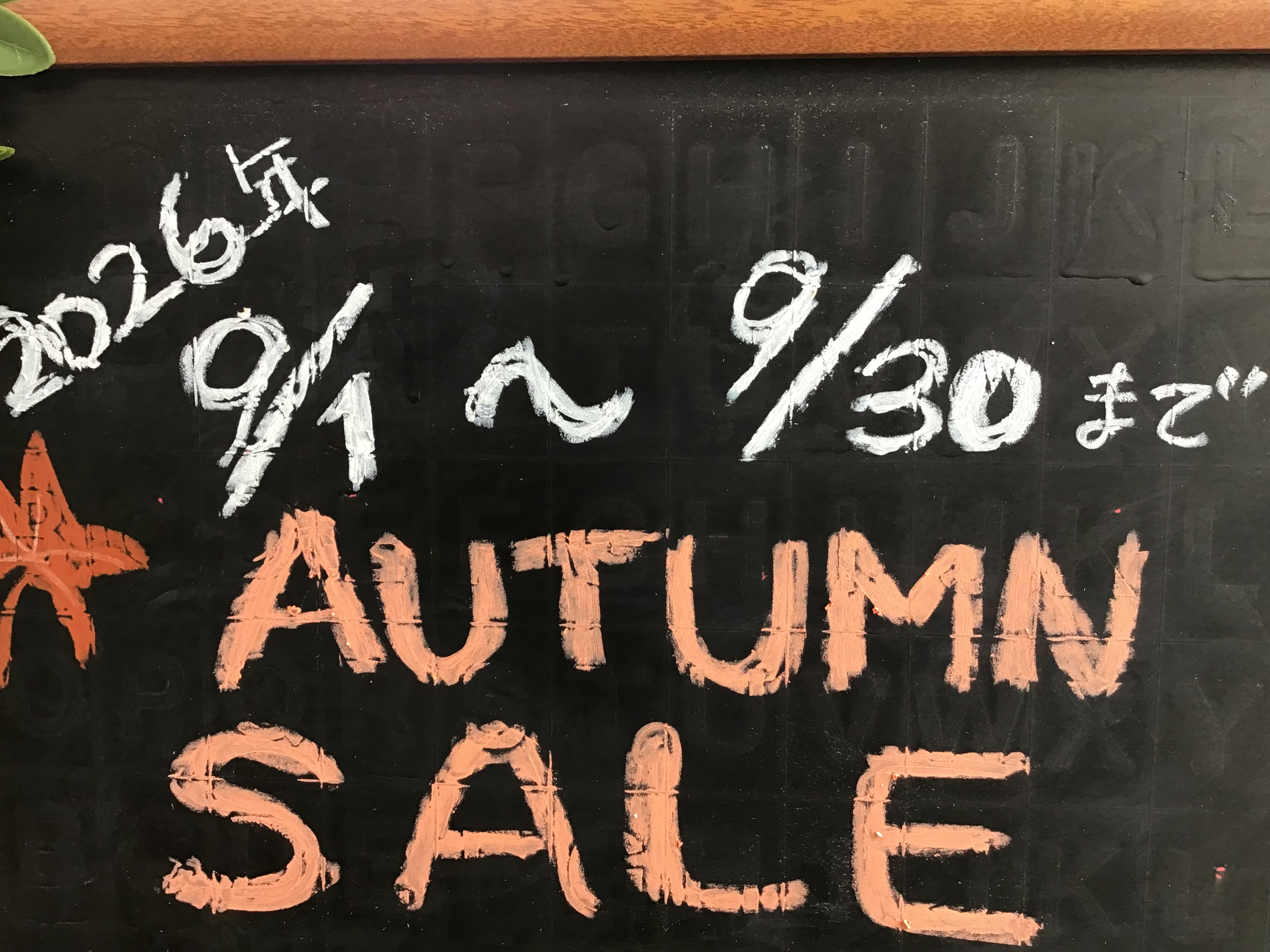 9月に入りました☆