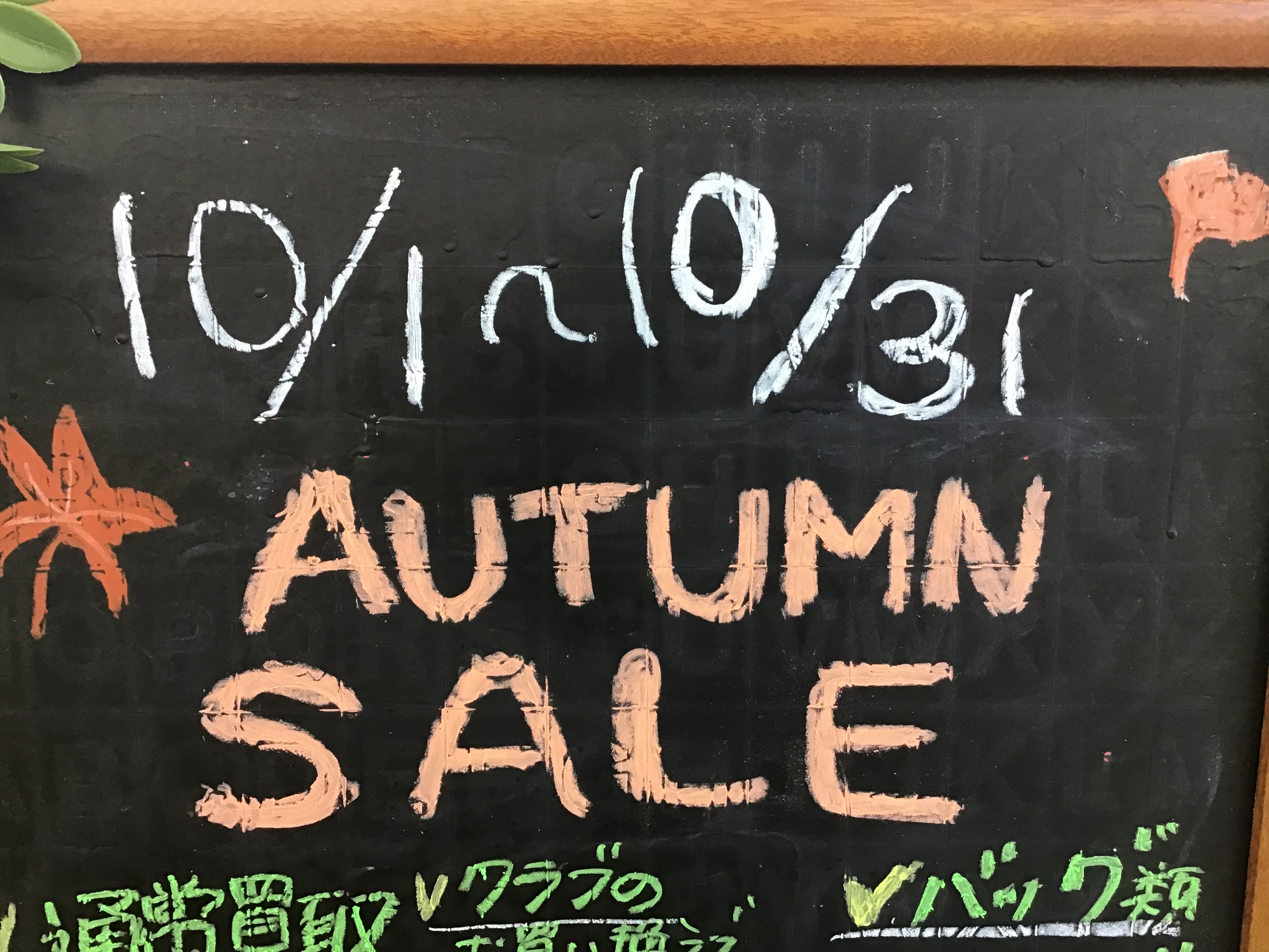 ＡＵＴＵＭＮ　ＳＡＬＥやってます☆