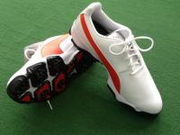 ファウラーカラー？！☆